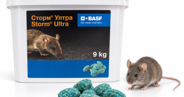 Сторм Ултра BASF – отрова за мишки и плъхове, 9 кг — оферта от newfresh.org
