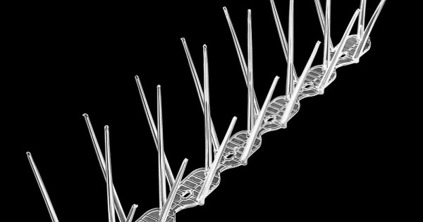 Шипове за Птици поликарбонат 3 редови, 75 бр. - 25 метра — оферта от newfresh.org